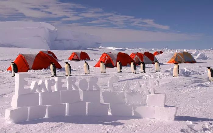 南极露营