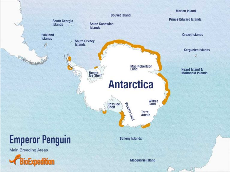 南极大陆帝企鹅分布地区