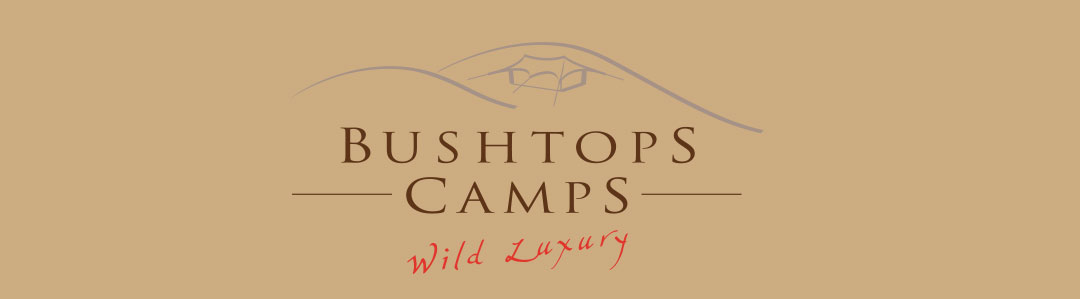 bushtops camps