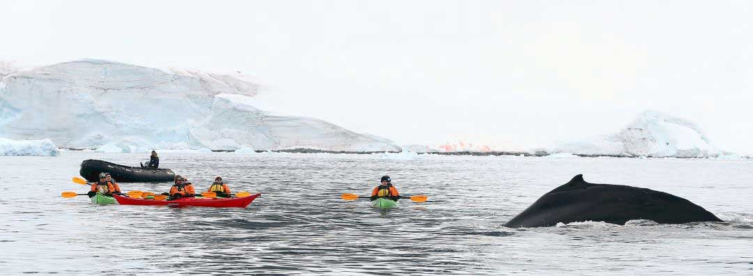 乌斯怀亚12天跨南极圈极地旅行价格